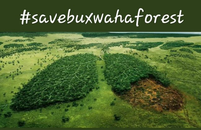 Buxwaha Forest Issue- A Major Environmental Concern